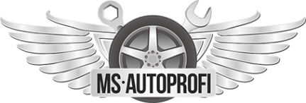 Логотип компании MS-Autoprofi