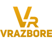 Логотип компании V-RAZBORE.RU