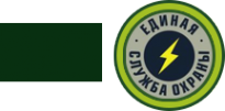 Логотип компании Региональная служба охраны