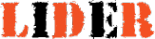 Логотип компании LIDER