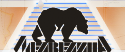 Логотип компании Медведица