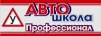 Логотип компании ПРОФЕССИОНАЛ ЧУ ДПО