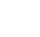 Логотип компании Ракоед