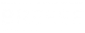 Логотип компании BREESE