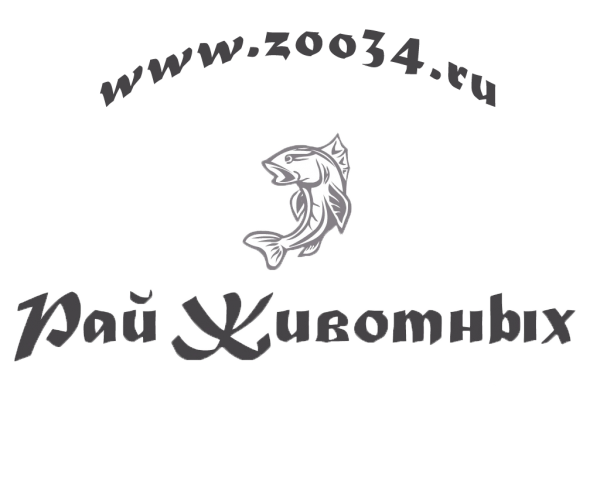 Логотип компании Магазин зоотоваров