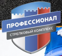 Логотип компании НОЧУ ДПО «Профессионал»