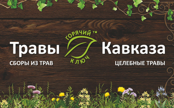 Логотип компании Дилерский магазин Травы Кавказа